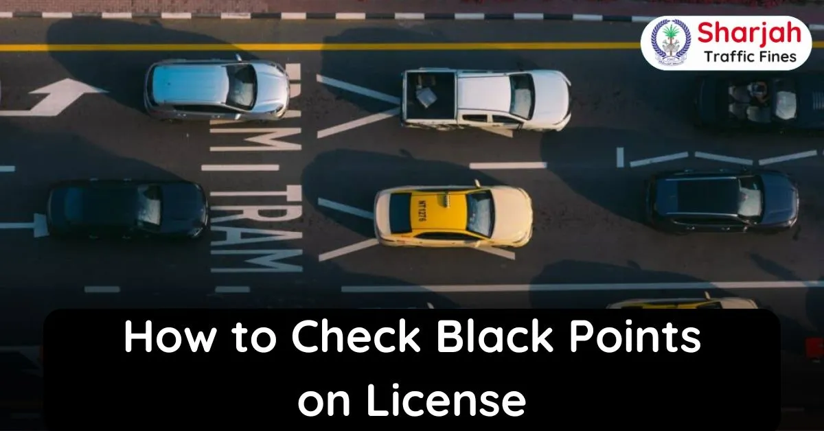 How to Check Black Points on License