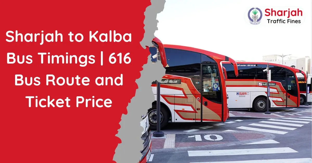 Sharjah to Kalba Bus Timings | 616 Bus Route and Ticket Price
