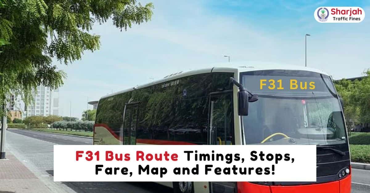 F31 Bus Route Timings, Stops, Fare, Map and Features!
