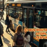 C1 Bus Route, Timetable, Stops, Fares, Map, Features and Tips!